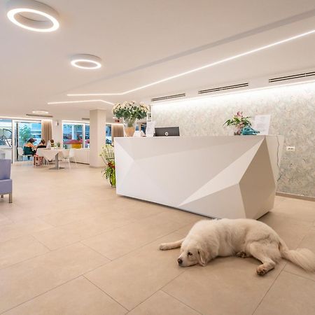 Hotel San Domingo ベラーリア・イジェア・マリーナ エクステリア 写真